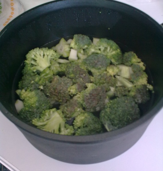 Lehké brokolicové karbanátky