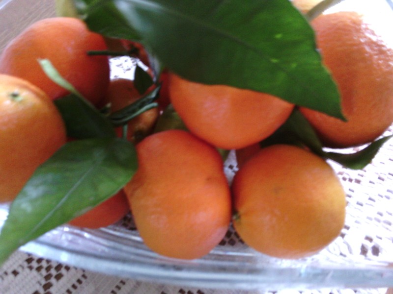 Mandarinkový krém do zákusků