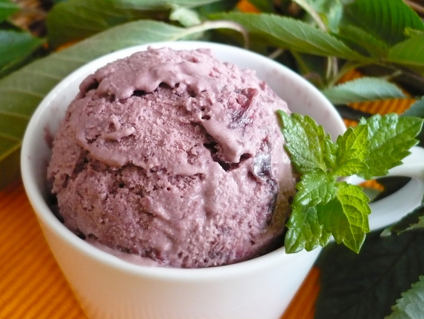 Třešňovo - tvarohová zmrzlina s čokoládou a kokosem