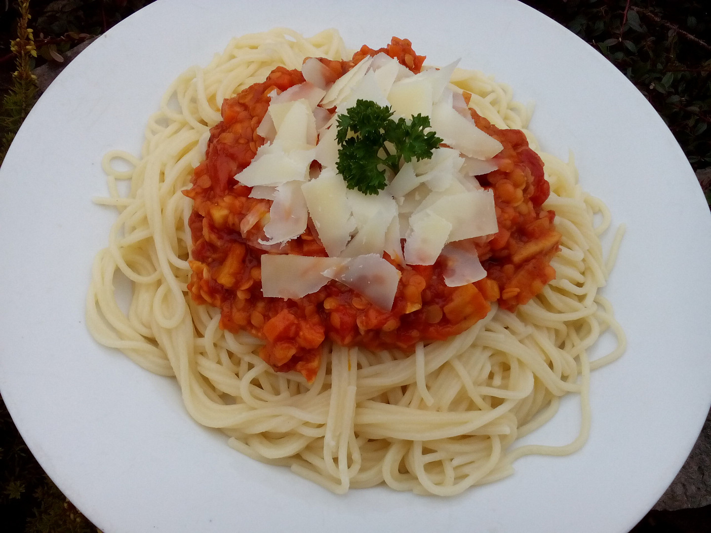 Zeleninové ragú s červenou čočkou à la bolognese